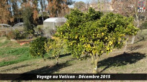 Voyage au vatican 32